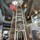 도도리파크(실외) 이미지