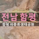 가람공원 화장실 | 함평 아이랑 갈만한 곳 양서 파충류 생태공원 6세 남아 후기