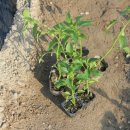 청량농장 이미지