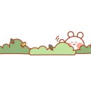 도토리플