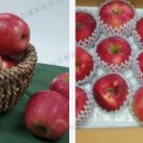 영주농장 이미지