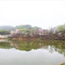 통골농장 이미지