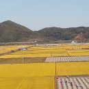 2015년산 벼값 결정 이미지