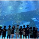 정도태권도장 | 고촌초등태권도 아이의 성장을 돕는 김포 고촌 태강태권도장 후기