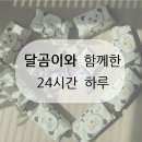 안전한 아기물티슈 러블리달곰이 [24시간이 모자라 달곰이와 함께한 하루 ♡]