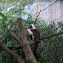 리버퀘스트 이미지