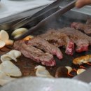 정남진 편백
