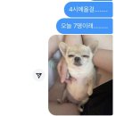 연서중학교 | 올해도 별자리 운세가 꼴등이네 내년에 일어나야지