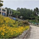 적금해리스 이미지