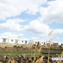 제주에내집 이미지