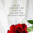 수요일 - 종로구 인사동길 36 | 수요일