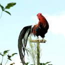 진기농장 이미지