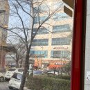 율하우리약국 | 아팠다가 나았다가 또아프기만한 3월 일상