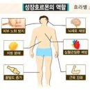 구공피티스튜디오 이미지