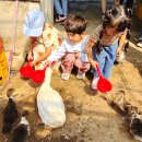 세아농장 이미지