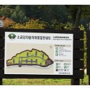 소금강자동차야영장 이미지