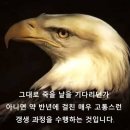 감내2 이미지