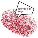 셀프수산 Daum카페