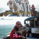 도시어부 이미지