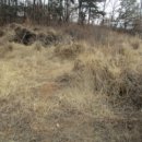 아산시-2018-010 이미지