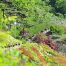 숲쟁이꽃동산 이미지