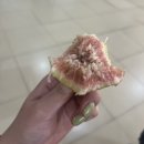 장연다방 | 여름여름해 썸머썸머