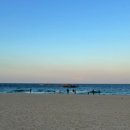 경포캐빈펜션 이미지