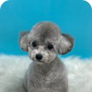 그루몽실 이미지