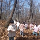 시립풍동숲속어린이집 이미지