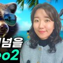 Google ai Studio -Ve02 동영상 제작 이미지