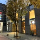 리치몬드 | 후쿠오카 리치몬드 호텔 후기｜가성비 숙소 찾는 사람 필독(위치 객실 사진)