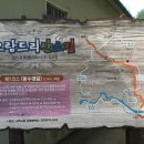 오랍드리 이미지