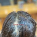 헤어마법사 이미지