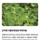 도래울약국 이미지