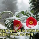 풍성식당 - 양천구 목동중앙북로7가길 43 | 풍성식당