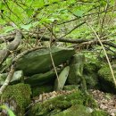 계촌 농장 이미지