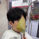 홍성천길 이미지