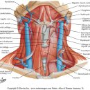 운동케어센터 이미지