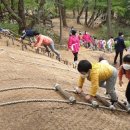도음산 유아숲체험원 이미지