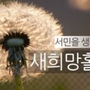엔젤솔루션
