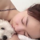 화영 이미지