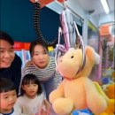 토이포이 이미지