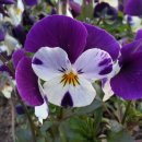 녹청자박물관 이미지