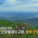 단양구운마늘소금
