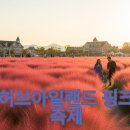 핑크 티스토리