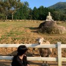 온뷰펜션 이미지