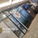 주이비인후과의원 이미지