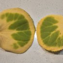 중리서로 이미지