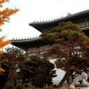 손지민피부미용
