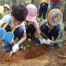 금당어린이집 이미지